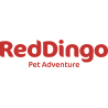 Red Dingo